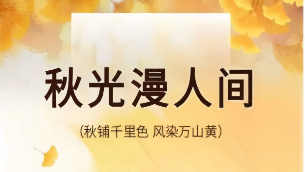 尚选视角｜从趋势到格局：数智生态的下一个十年